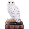 Nemesis Now Statuetta della Biblioteca della saggezza, 17 cm, in resina, bianca, gufo bianco su libri, ornamento per libri fantasy, espositore per libri, colata nella migliore resina, sapientemente