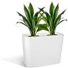 KLORIS Vaso Fioriera Alta Rettangolare Moderna per Siepe e Recinzione mod. Blog polietilene cm 70x30 altezza cm 70
