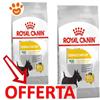 Royal Canin Dog Mini Dermacomfort - Offerta [PREZZO A CONFEZIONE] Quantità Minima 2, Sacco Da 8 Kg