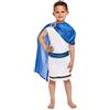 HENBRANDT Boys Costume: Caesar, Large 10 - 12 years (costume)