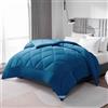 WAVVE Piumino Letto Matrimoniale Quattro 4 Stagioni 260x240 cm - Piumone 240x260 Invernale Autunnale - Trapunta 260 x 240 in Microfibra Sintetica, Turchese