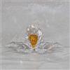 Swarovski Crystal SCS African Orchid Decorazione Figurine 2018 5301553