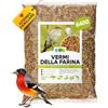EWL Naturprodukte Vermi della Farina essiccati 640 g (4 L), Snack a base di Insetti per Uccelli, Pesci, Tartarughe, Roditori e Rettili