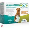 MSD ANIMAL HEALTH SRL YOUACT ENTERO SOS 14 BUSTINE