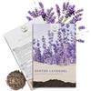 HAPPY SEED 300 semi di lavanda ad alto tasso di germinazione - pianta medicinale versatile e ideale per api e farfalle (incluso eBook 0)