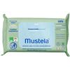 LAB.EXPANSCIENCE ITALIA SRL MUSTELA SALVIETTE COMPOST 60PZ