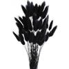 Saituo Home Pampas Decorative Rabbittail Fiori Secchi Decorativi 60 Pezzi Count Natural Fiori Secchi Decorativi Bouquet,Decorazione Camera da Letto Fiori Secchi Indoor Wedding Home Decor (nero)