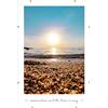 Mein Landhaus Cornice portafoto a clip, senza cornice per arte, foto e certificati, formato A4, A3, 13 x 18, 50 x 70, 60 x 80, 60 x 90, vetro e MDF (61 x 91,5 cm (Acrylglas)