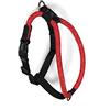 High5Dogs, Imbracatura ergonomica Arancione per attività all'Aria Aperta Regolabile da 60 a 76 cm, con Spallacci Imbottiti e Sicurezza Rinforzata, Taglia M, Colore Arancione, Modello Leisure Rope