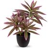 Oairse Piante finte da 41 cm in vasi neri, pianta artificiale di dracaena decorativa piante in vaso finte realistiche piante da interno per casa, bagno, soggiorno, cucina, mensola, decorazione da