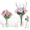 Glasseam Cilindro Vaso Per Fiori In Vetro Trasparente, 2 Set Glasseam Modern Basic Vasi Per La Decorazione Della Tavola Centrotavola Matrimoni Fiori Rose Pampa Per Soggiorno Ornamenti, 10/15/20 Cm Alto