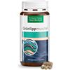Sanct Bernhard Capsule di cozze verdi ad alto dosaggio 500 mg/capsula, qualità di fabbricazione tedesca, 150 capsule