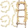 HNLMZ Ghirlanda di Vite Fiori di Ciliegio Artificiali,2 Pezzi 180cm Fiori di Ciliegio Artificiali,135 Fiori Ghirlanda di Fiori di Ciliegio per la Decor Della Festa Nuziale Nel Giardino di Casa(Champagne)