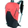 DYNAFIT Zaino Transalper 18+4 Unisex