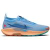 NIKE PEGASUS TRAIL 5 GTX