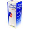 BOIRON Srl Crataegus T.M. 60 ml