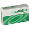 FARMA-DERMA Srl Cicatridina 10 Supposte