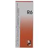 DR.RECKEWEG & CO. GmbH Reckeweg R6 Gocce 50 ml