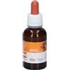 Eberlife Farmaceutici SpA Abibi Omnia Gocce 30 Ml ml orali