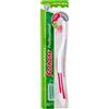 URAGME Srl Forhans Spazzolino Antiplacca Professional Setole Medie Con Copritestine