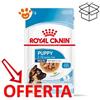 Royal Canin Dog Maxi Puppy - Bustina Da 140 Gr - CONFEZIONE RISPARMIO