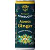 Intro Atomic Ginger