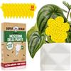 Super Ninja Trappole anti Moscerini delle Piante - 30 Pezzi, Esche Adesive Eco, Catturano i Moscerini del Terriccio in Casa, Senza Insetticidi, Sicure per uso Interno/Esterno, Durata 3 Mes