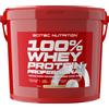 Scitec Nutrition 100% Whey Protein Professional 5 kg