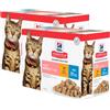 HILLS Kit Risparmio 24x85G Hill's Science Plan Light Adult Cat MIX CARNE E PESCE