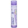 Boiron Sanguinaria Canadensis 30ch 80 Granuli 4 g Contenitore Multidose