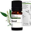 Aroma Labs - Niaouli BIO - Olio Essenziale Chemiotipizato e Certificato AB - 5 mL