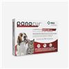 centrovete shop online Panacur Compresse 500mg Dosaggio Forte | Vermifugo Per Cani Di Grossa Taglia. Libera da Giardia, Vermi Tondi e Vermi Piatti