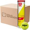 WILSON CARTONE PALLINE CHAMPIONSHIP EXTRA DUTY di da 18 Tubi