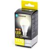 Aigostar Lampadina LED A60 E27 12W - 1170 lumen Aigostar luce naturale B10105MQD