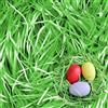 Hillylolly Erba di Pasqua, Hillylolly Carta Tagliuzzata per Regali, Carta Velina Tagliuzzata Verde, Riempimento Scatole Regalo, Paglia Carta per Bomboniere per Nidi e Cesti Pasquali (Verde-1)
