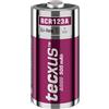 goobay tecxus RCR123 - Batteria ricaricabile, 500 mAh, adatta per Arlo Wireless Security Camera/serratura digitale della porta, rilevatore di fumo e sistema di allarme/torcia, telecomando, 72563