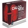 S&R Farmaceutici | CALCONOX - Integratore alimentare per il Controllo della progressione della Calcolosi Renale e Benessere delle Vie Urinarie, 30 bustine