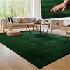 Paco Home Tappeto Moderno e Morbido per Soggiorno a Pelo Corto Lavabile Fluffy Uni Effetto Pelliccia Senza Tempo Elegante Antiscivolo Facile da Pulire, Dimensione:300x400 cm, Colore:Verde