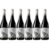 Generico Pontius - Aglianico Del Taburno Rosso DOCG - Nifo Sarrapochiello - Vino Rosso (6 BT)