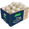 Antonio Ruggiero patate dal 1889 Cipolle RUGGIERO bianche FORNO E LESSE Box 5 kg