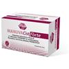 MANUVA CIST FORTE 7 BUSTINE