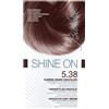 BIONIKE SHINE ON TINTURA CASTANO AMB5.38