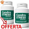 Innovet Dog Condrostress Mobility - Offerta [PREZZO A CONFEZIONE] Quantità minima 2, Confezione Da 90 Chews