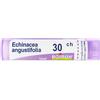 Echinacea Laboratoires Boiron Echinacea Angust 30Ch Gr 4 g Granuli