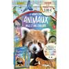 Panini Cartes à collectionner Panini Album avec 2 pochettes et 2 offertes