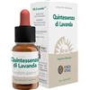 FORZA VITALE ITALIA Srl QUINTESSENZA LAVANDA 10ML
