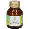 Garcinia Erbex Garcinia 100 Capsule 430Mg pz