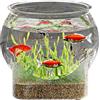 Generic Acquario rotondo in vetro trasparente - acquario per pesci Betta, tartarughe o piante | Centrotavola versatile per acquario da tavolo e vaso di fiori, acquario compatto per la casa
