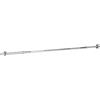 SPORTNOW Bilanciere Dritto da Squat, Stacchi da Terra e Sollevamenti, per Pesi da Ø2.5 cm da 100kg mx, in Acciaio, Ø2.5x170 cm, Argento