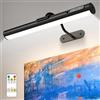 bravzurg Luce LED specchio bagno ricaricabile, 4000mAh applique senza fili con telecomando e calamita, wireless wall light, specchio bagno, armadio, muro, lampada parete senza fili per fotografica